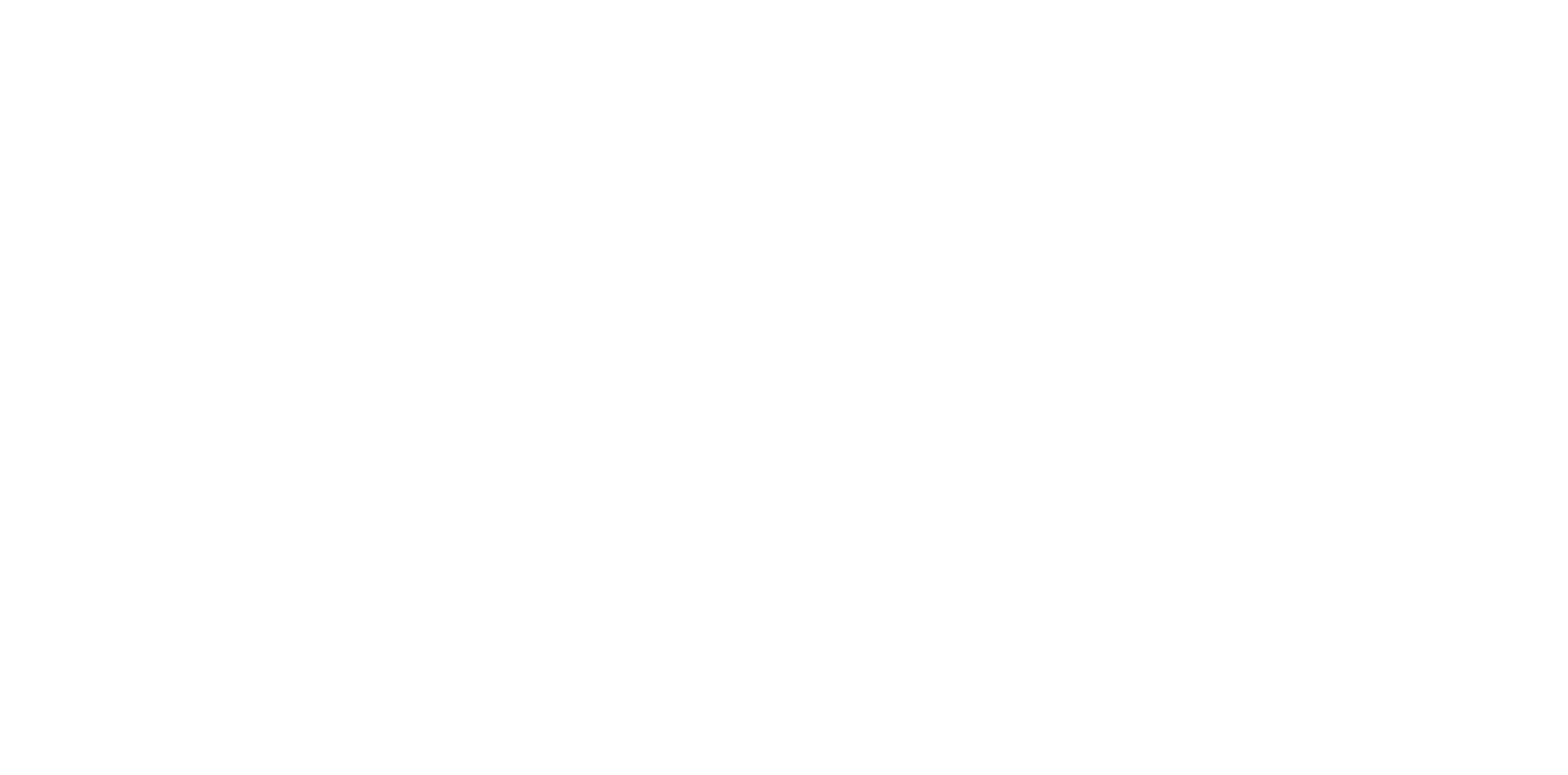 赏金船长